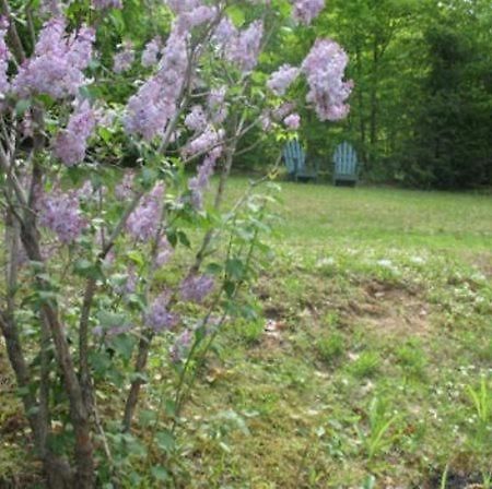 Tumble Inn Schroon Lake Zewnętrze zdjęcie