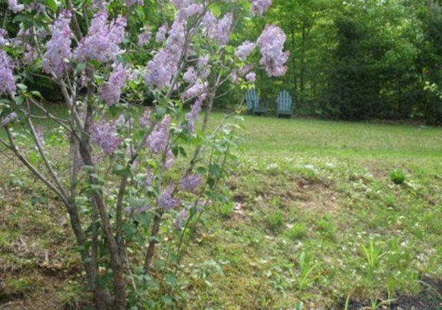 Tumble Inn Schroon Lake Zewnętrze zdjęcie